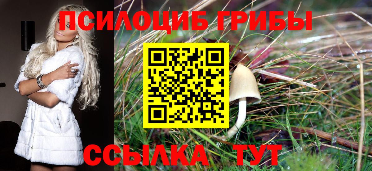 Белорецк  Галлюциногенные грибы мухоморы  Псилоцибиновые грибы Psilocybe  Вход с VPN 