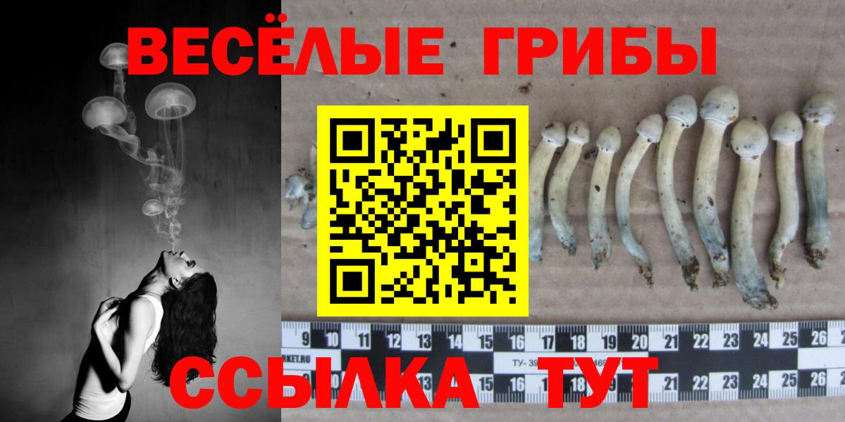 Псилоцибиновые грибы ЛСД Белорецк